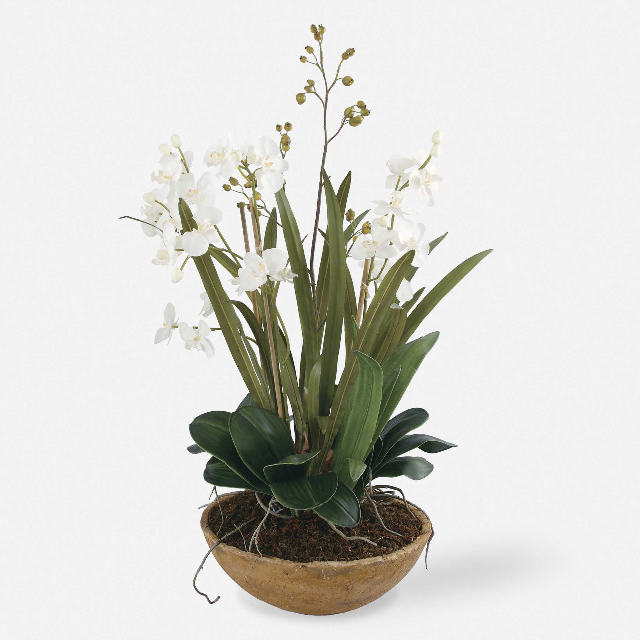 Picture of MOTH ORCHID PLANTER