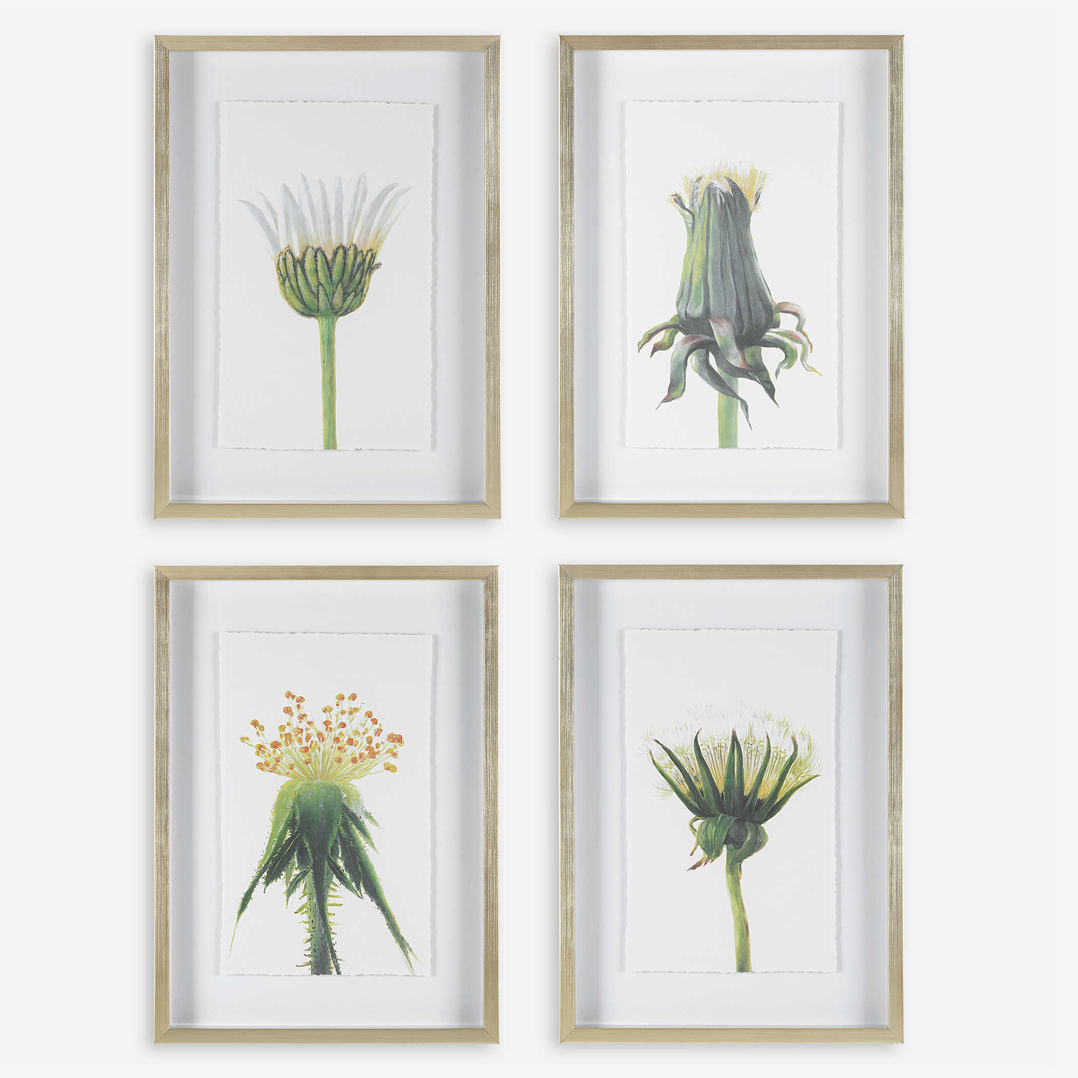 Wildflowers Framed Prints, S/4 | Uttermost