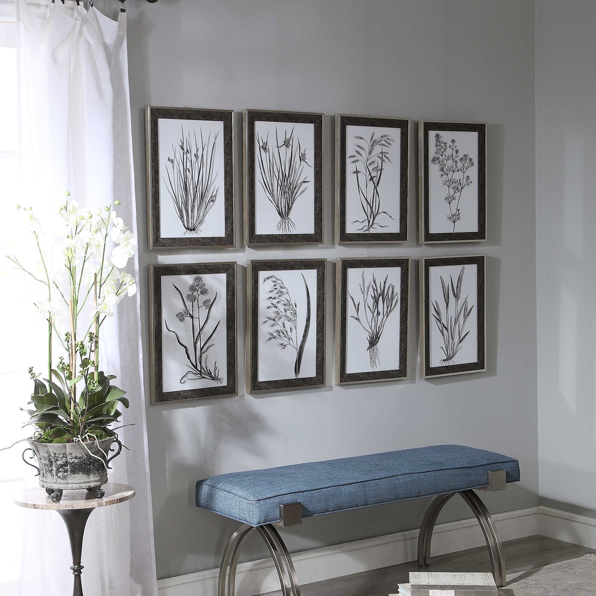 Classic Botany Framed Prints, S/8 | Uttermost