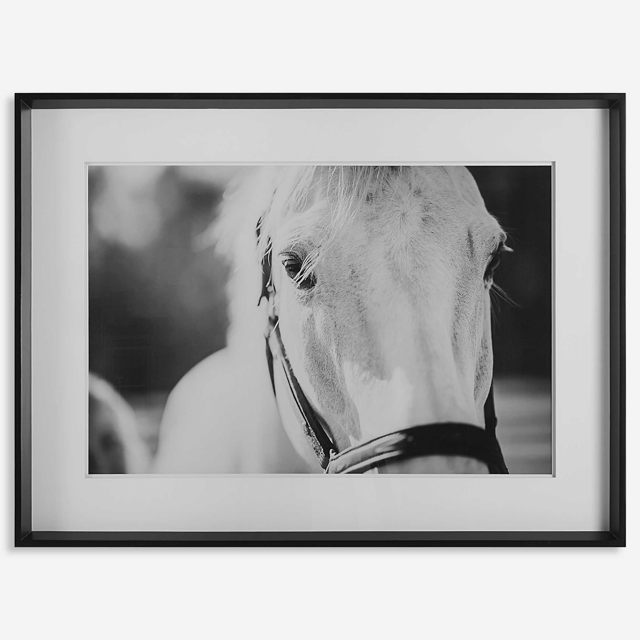 Uttermost Custom Black And White Horses Print 51110 