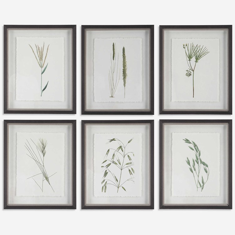 Forest Finds Framed Prints, S/6 | Uttermost