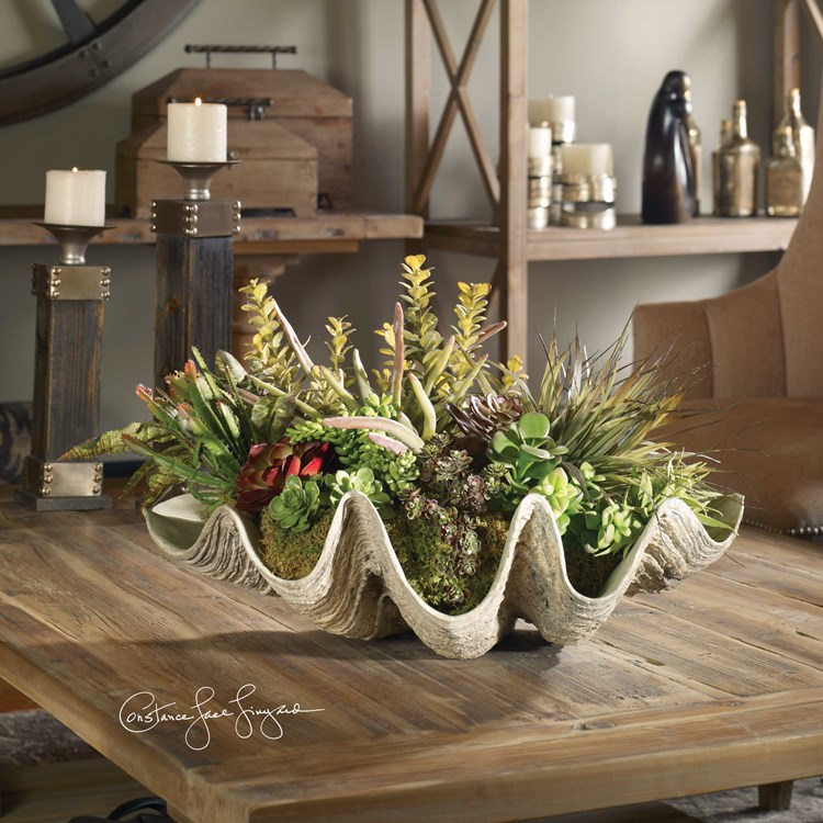 Sea Coast Succulents | Uttermost